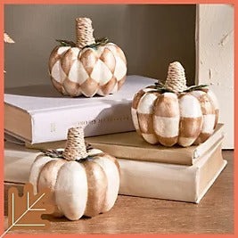 Harvest & Halloween Décor